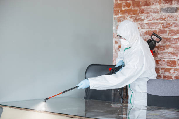 Hermiston, OR Mold Removal Company